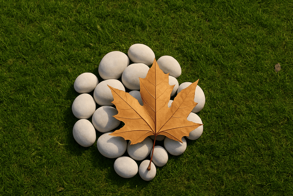 decorative white pebbles for outdoor landscaping design